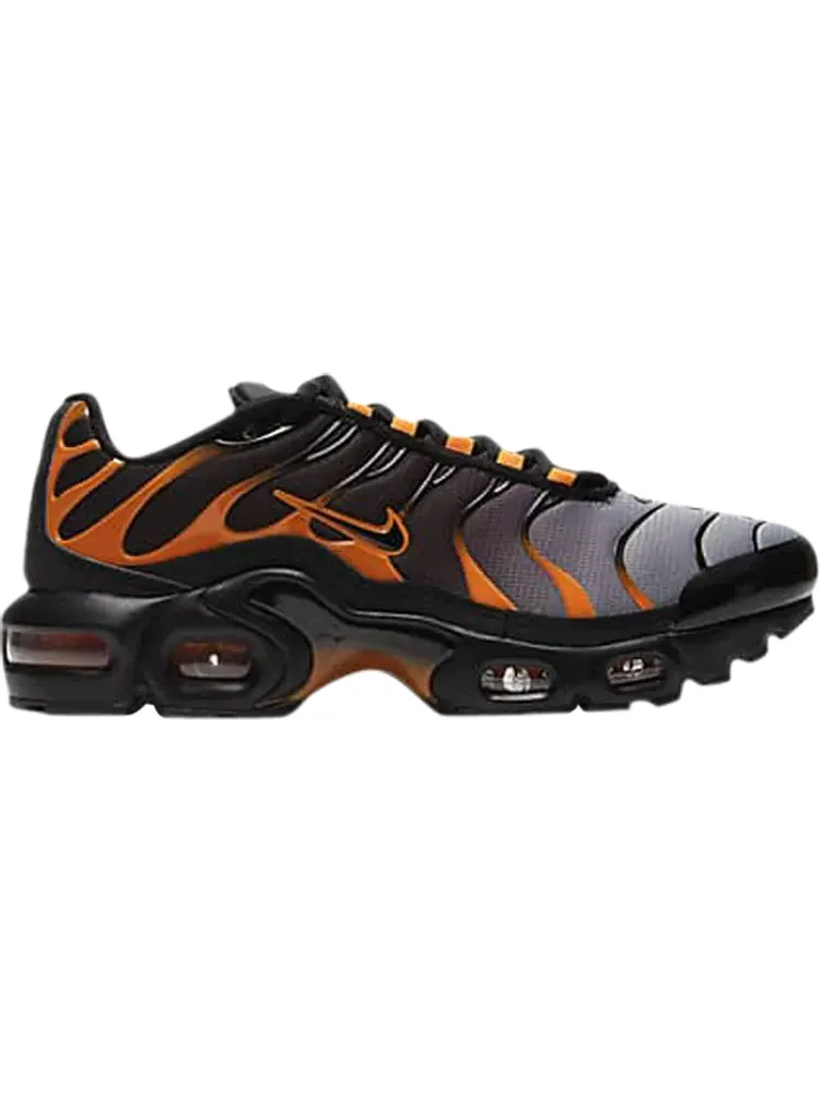 Кроссовки Nike Air Max Plus GS 'Black Team Orange' — изображение 1 из 1, оранжевый