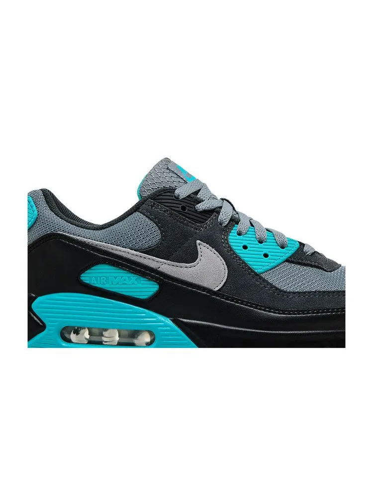 Кроссовки Nike Air Max 90 'Cool Grey Dusty Cactus' черный — изображение 3 из 9, серый/серый//черный