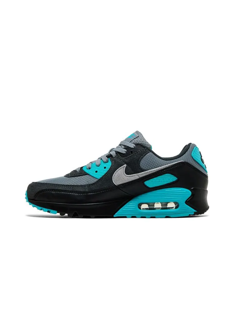 Кроссовки Nike Air Max 90 'Cool Grey Dusty Cactus' черный — изображение 4 из 9, серый/серый//черный