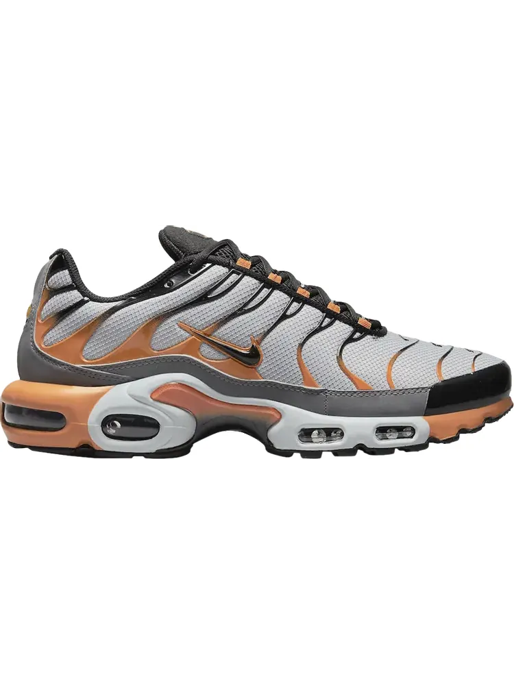 Кроссовки Nike Air Max Plus 'Wolf Grey Hot Curry' — изображение 1 из 1, серый