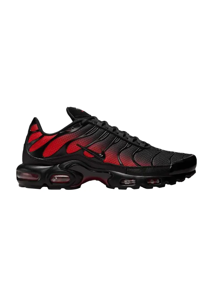 Кроссовки Nike Air Max Plus — изображение 1 из 1, черный светлый