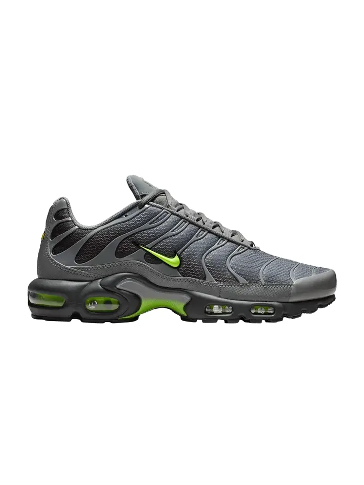 Кроссовки Nike Air Max Plus — изображение 1 из 1, серый