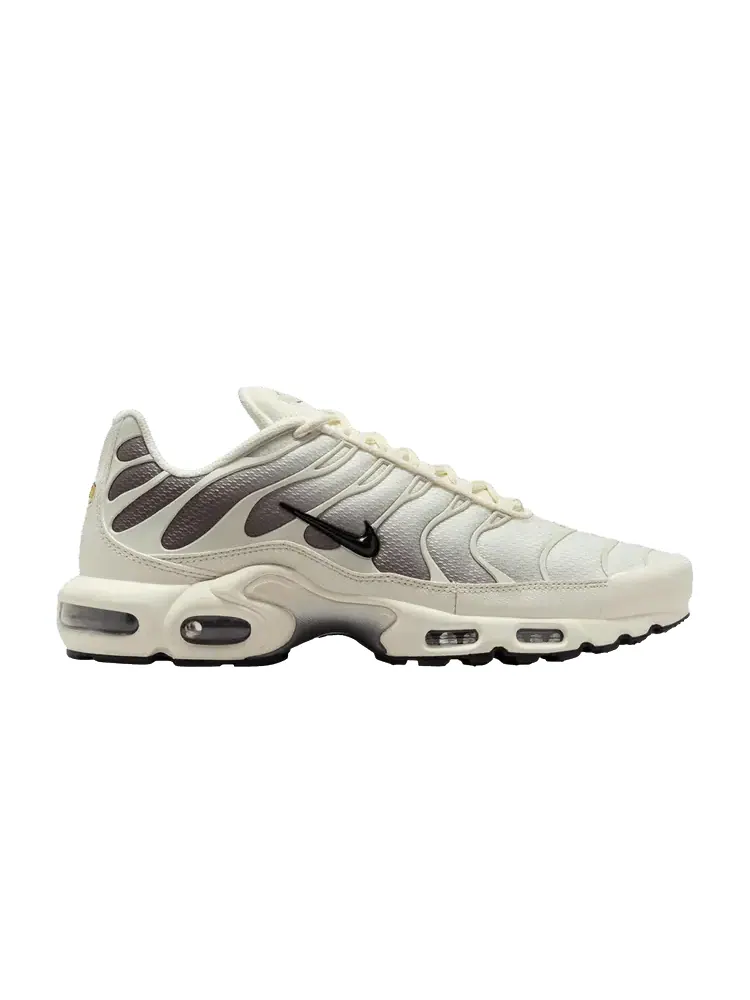Кроссовки Air Max Plus 'Light Orewood Cave Stone' — изображение 1 из 1, серый