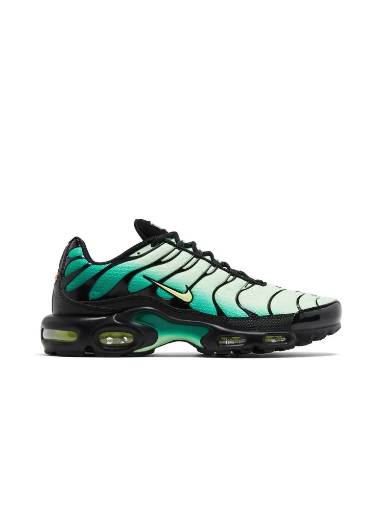 Кроссовки Air Max Plus 'Vapor Green Gradient' — изображение 1 из 8, зеленый