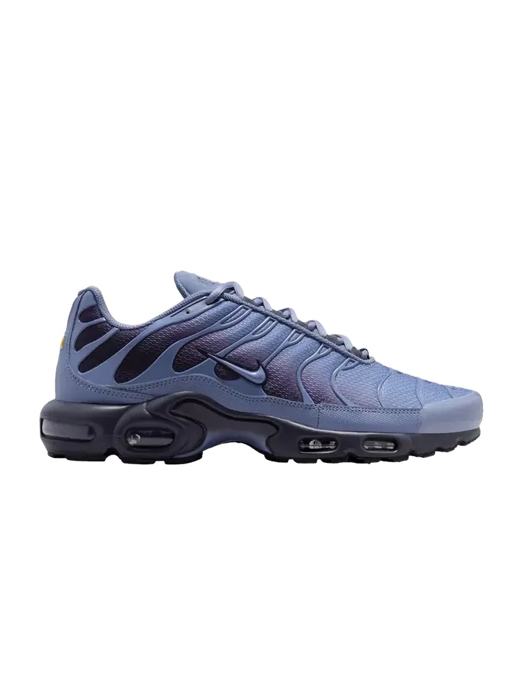 Кроссовки Nike Air Max Plus 'World Indigo' — изображение 1 из 1, индиго/фиолетовый/черный