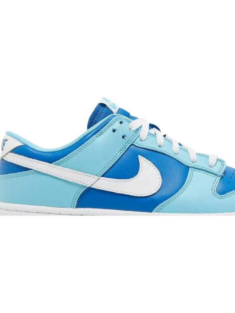Кроссовки Nike Dunk Low Retro QS 'Argon' — изображение 2 из 10, синий