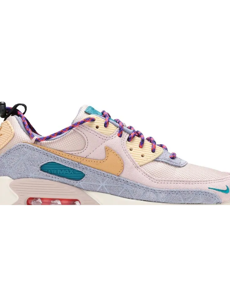 Кроссовки Nike Wmns Air Max 90 SE 'Fossil Stone Ashen Slate' — изображение 2 из 8, загар