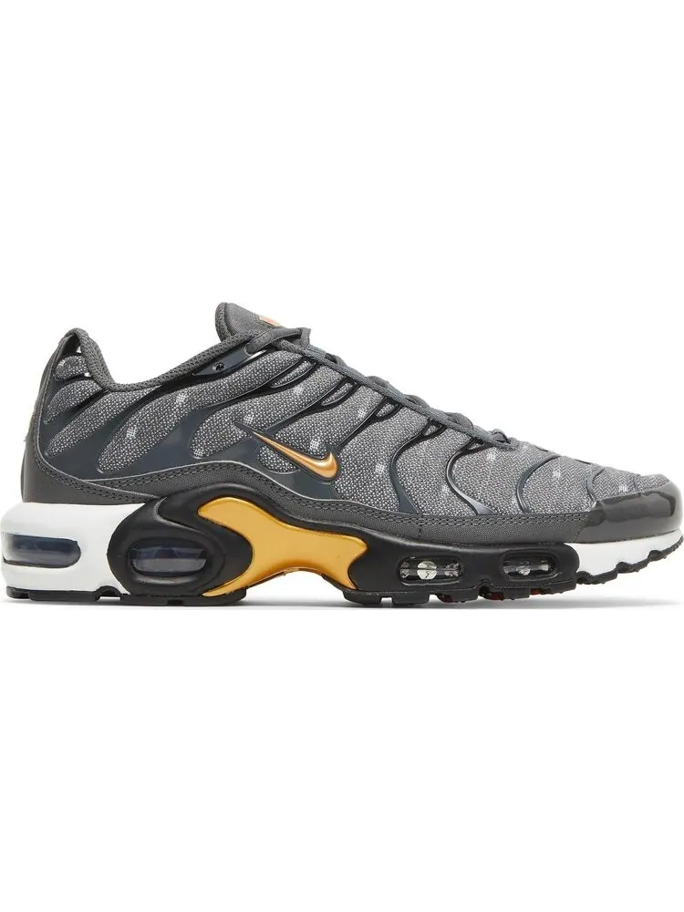 Кроссовки Nike Air Max Plus SE 'Iron Grey Metallic Gold' — изображение 1 из 8, серый
