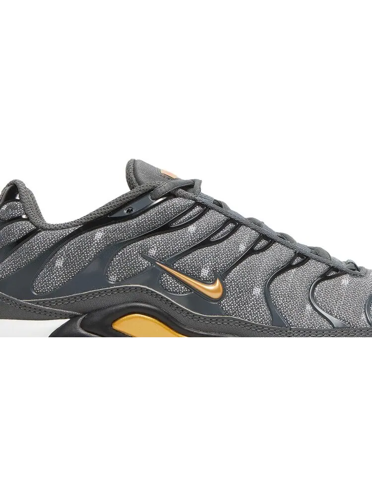 Кроссовки Nike Air Max Plus SE 'Iron Grey Metallic Gold' — изображение 2 из 8, серый
