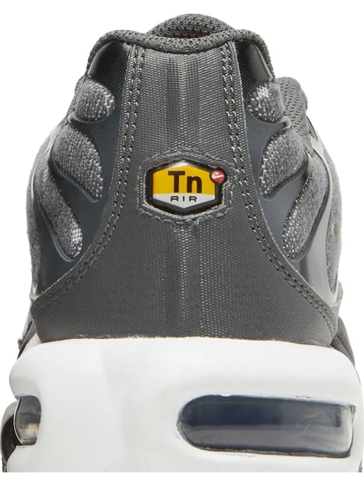 Кроссовки Nike Air Max Plus SE 'Iron Grey Metallic Gold' — изображение 7 из 8, серый