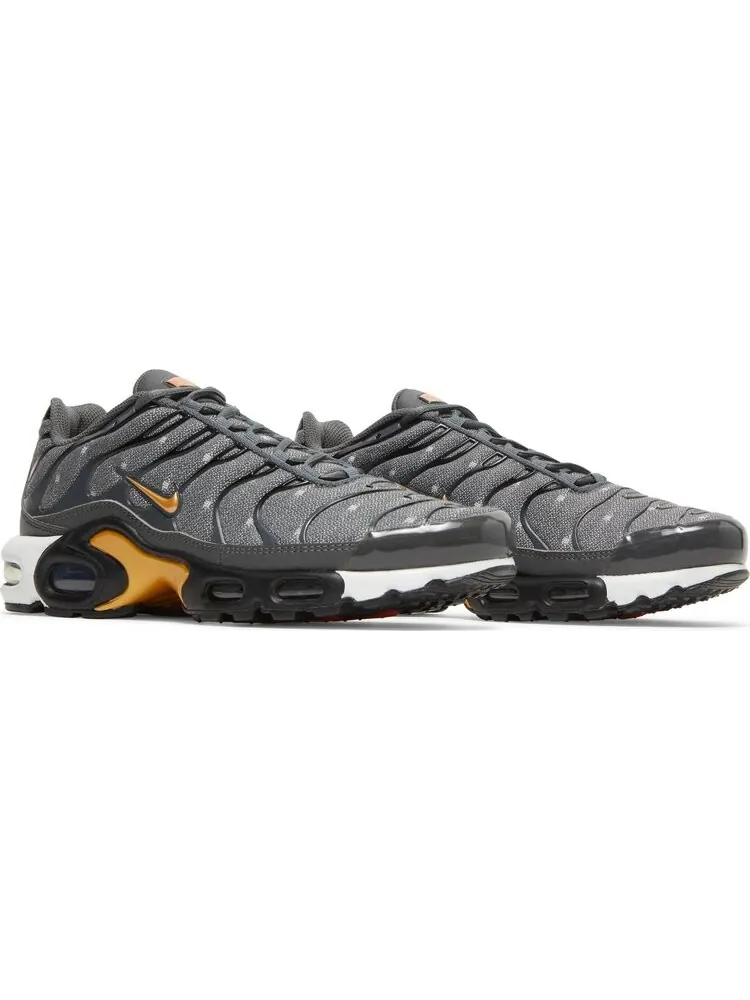 Кроссовки Nike Air Max Plus SE 'Iron Grey Metallic Gold' — изображение 8 из 8, серый