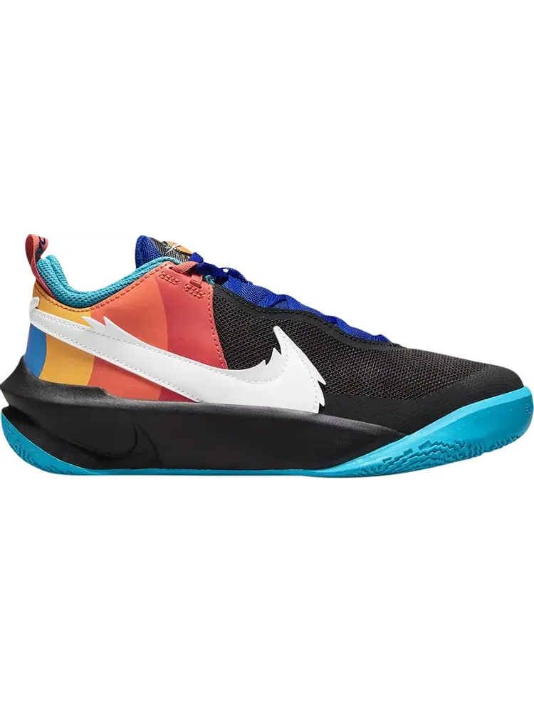 Кроссовки Nike Space Jam x Team Hustle D10 SE GS 'Tune Squad' — изображение 1 из 1, мульти