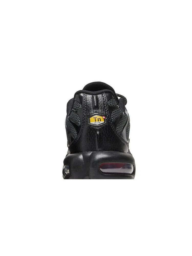 Кроссовки Nike Air Max Plus 'Bred Metal Mesh' — изображение 8 из 9, черный/черный/красный