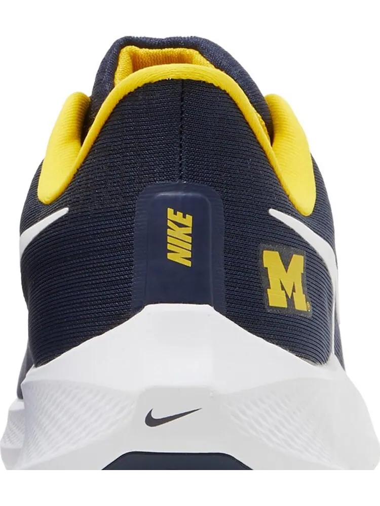Кроссовки Nike Air Zoom Pegasus 39 'Michigan' — изображение 7 из 8, синий