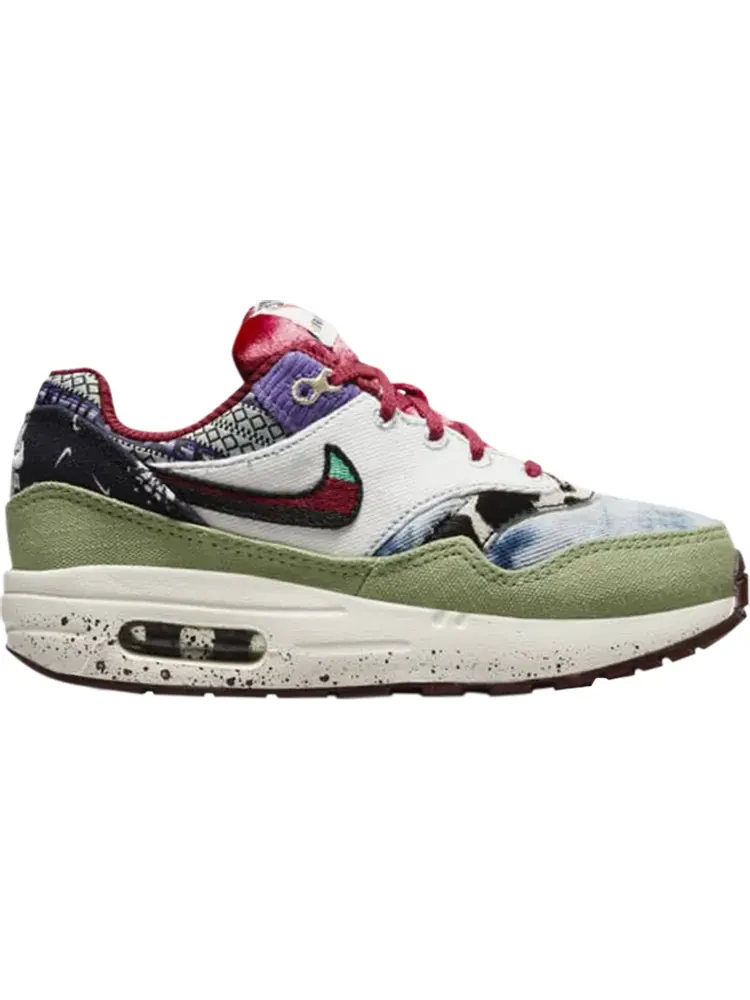 Кроссовки Nike Concepts x Air Max 1 SP PS 'Mellow' — изображение 1 из 1, мульти