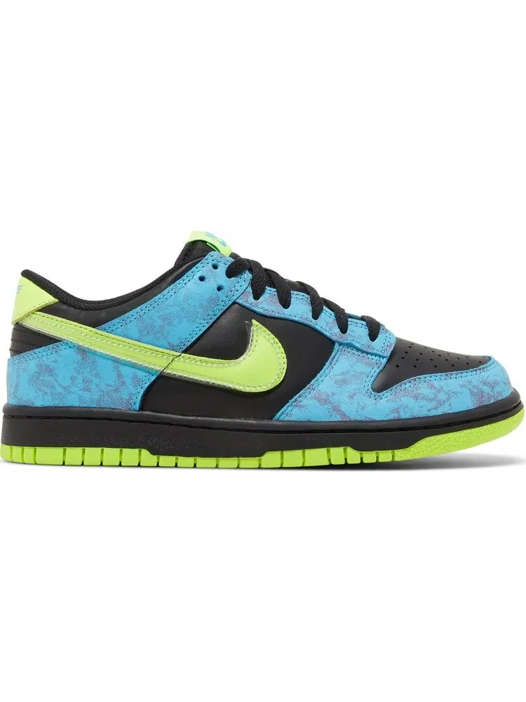 Кроссовки Dunk Low SE GS 'Let's Dance' — изображение 1 из 4, мульти