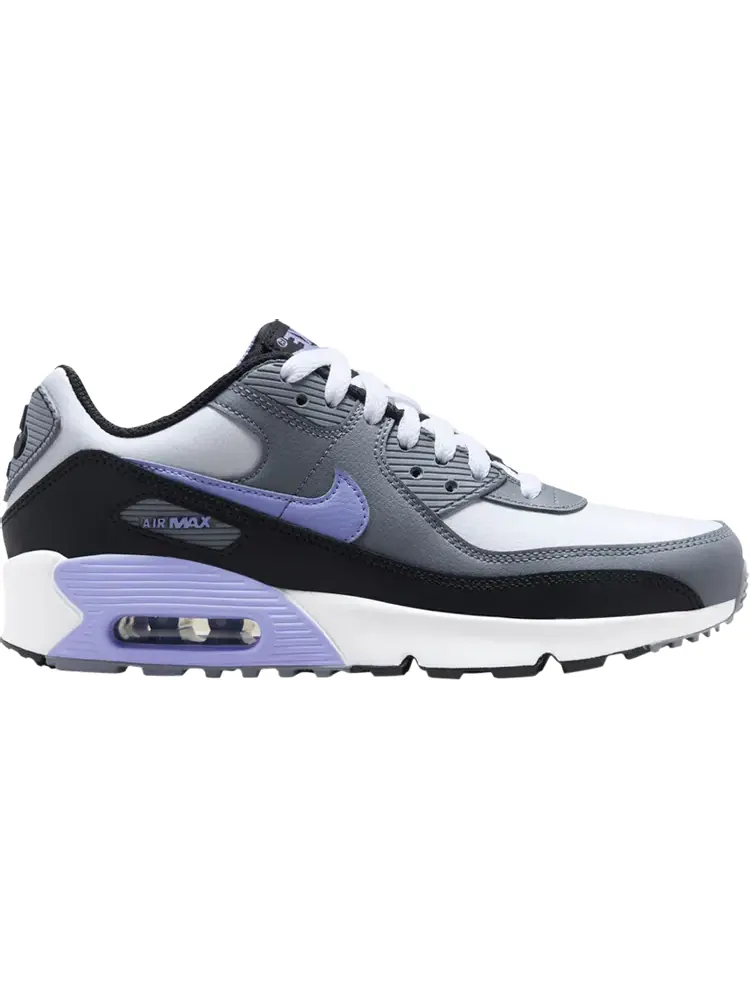 Кроссовки Air Max 90 Leather GS 'Light Thistle' — изображение 1 из 1, серый