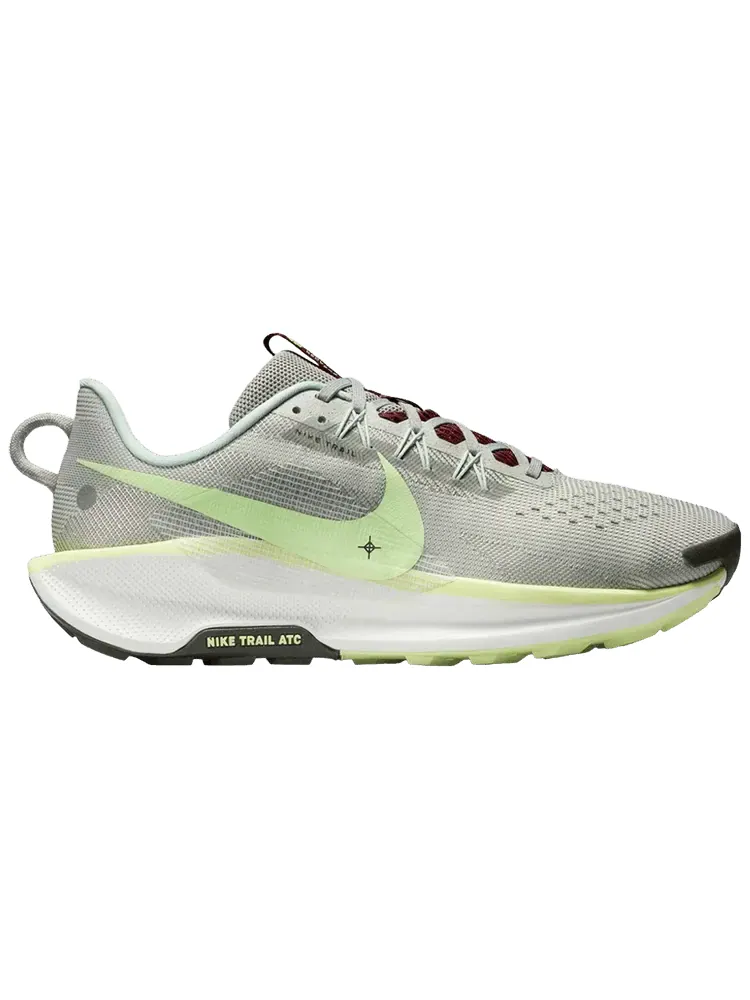 Кроссовки Nike Pegasus Trail 5 'Light Silver Barely Volt' — изображение 1 из 1, светлый серебристый