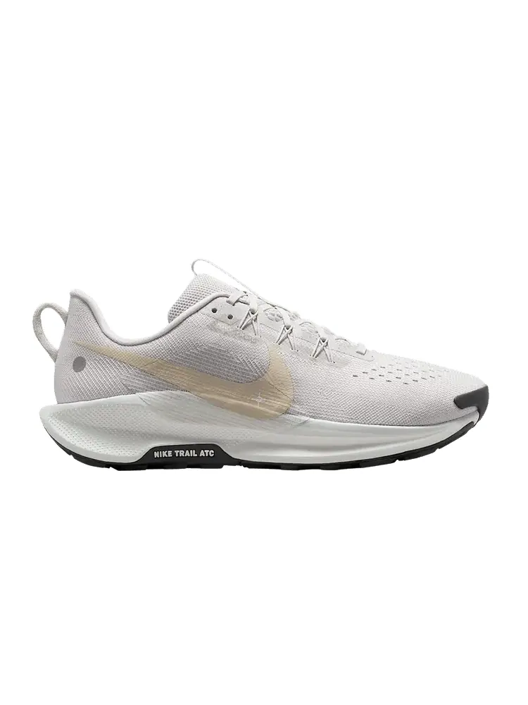 Кроссовки Nike Pegasus Trail 5 — изображение 1 из 1, серый