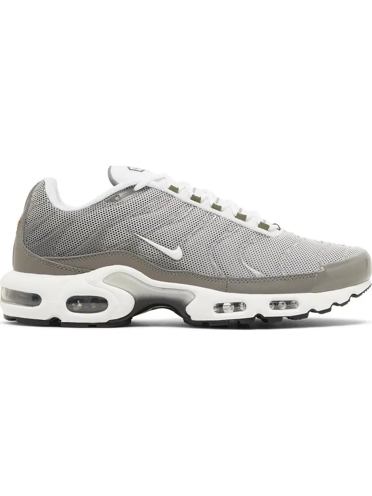 Кроссовки Air Max Plus SE 'Flat Pewter' — изображение 1 из 4, серый