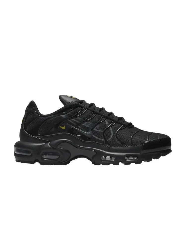 Кроссовки Nike Air Max Plus 'Multi-Swoosh - Black' — изображение 1 из 1