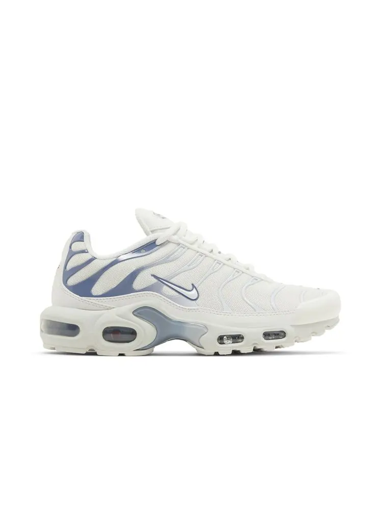 Кроссовки Wmns Air Max Plus 'Ashen Slate' — изображение 1 из 8, серый