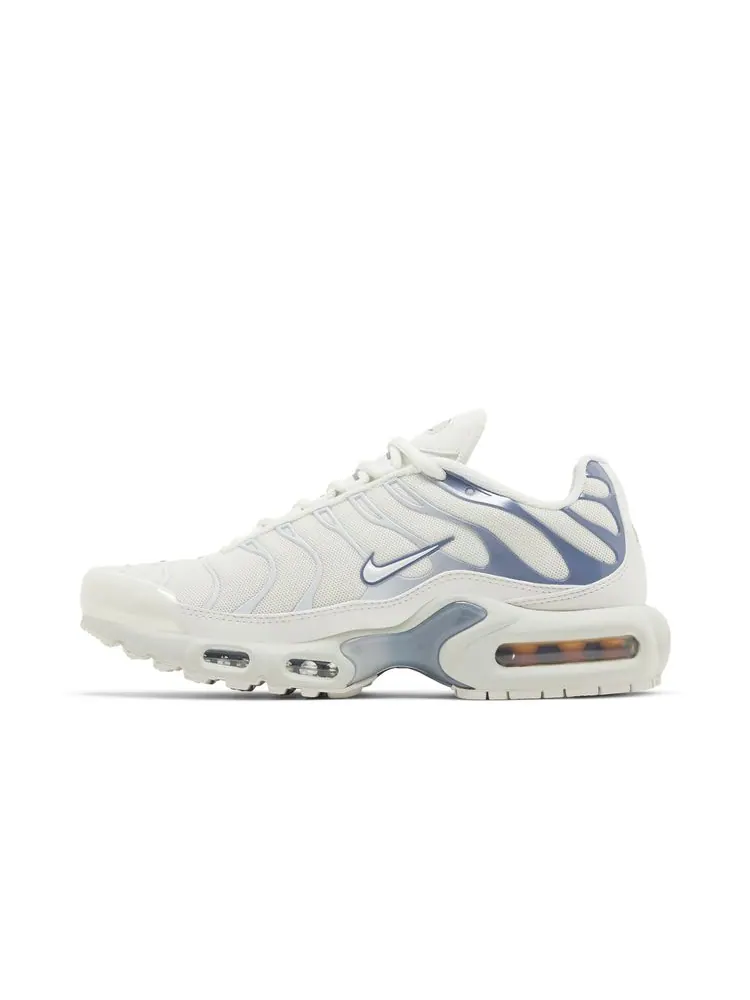 Кроссовки Wmns Air Max Plus 'Ashen Slate' — изображение 3 из 8, серый