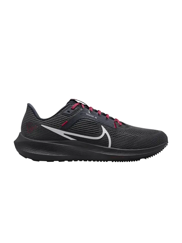 Кроссовки Nike NFL x Air Zoom Pegasus 40 'Houston Texans' — изображение 1 из 1, красный/белый