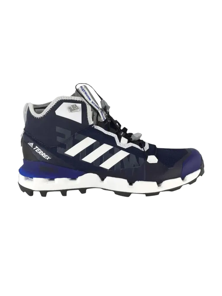 Кроссовки White Mountaineering x Terrex Fast GTX-Surround 'Collegiate Navy' — изображение 1 из 1, темно-синий