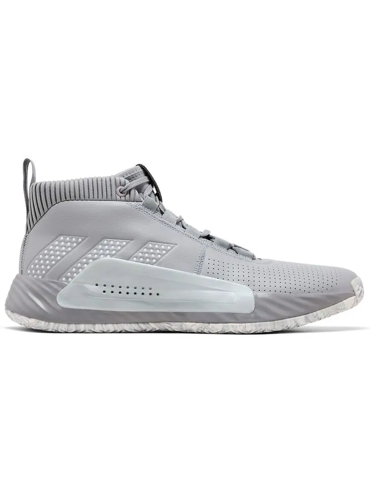 Кроссовки adidas Dame 5 Team 'Light Onix' — изображение 1 из 8, серый