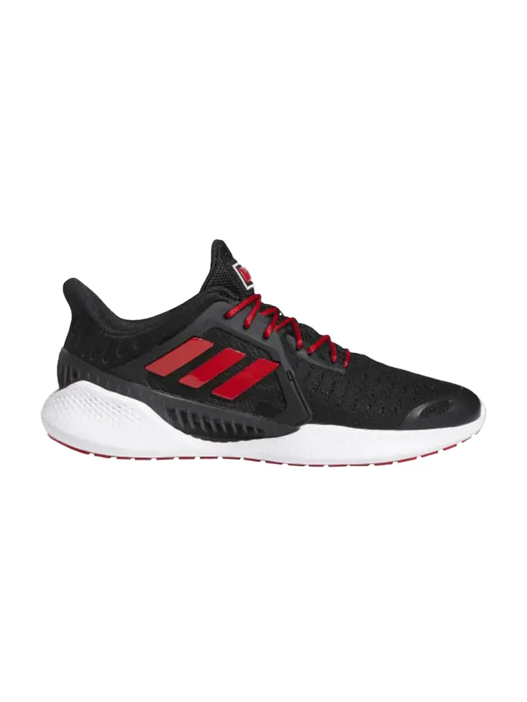 Кроссовки adidas Climacool Vent Summer.Rdy EM 'Black Scarlet' — изображение 1 из 1, черный