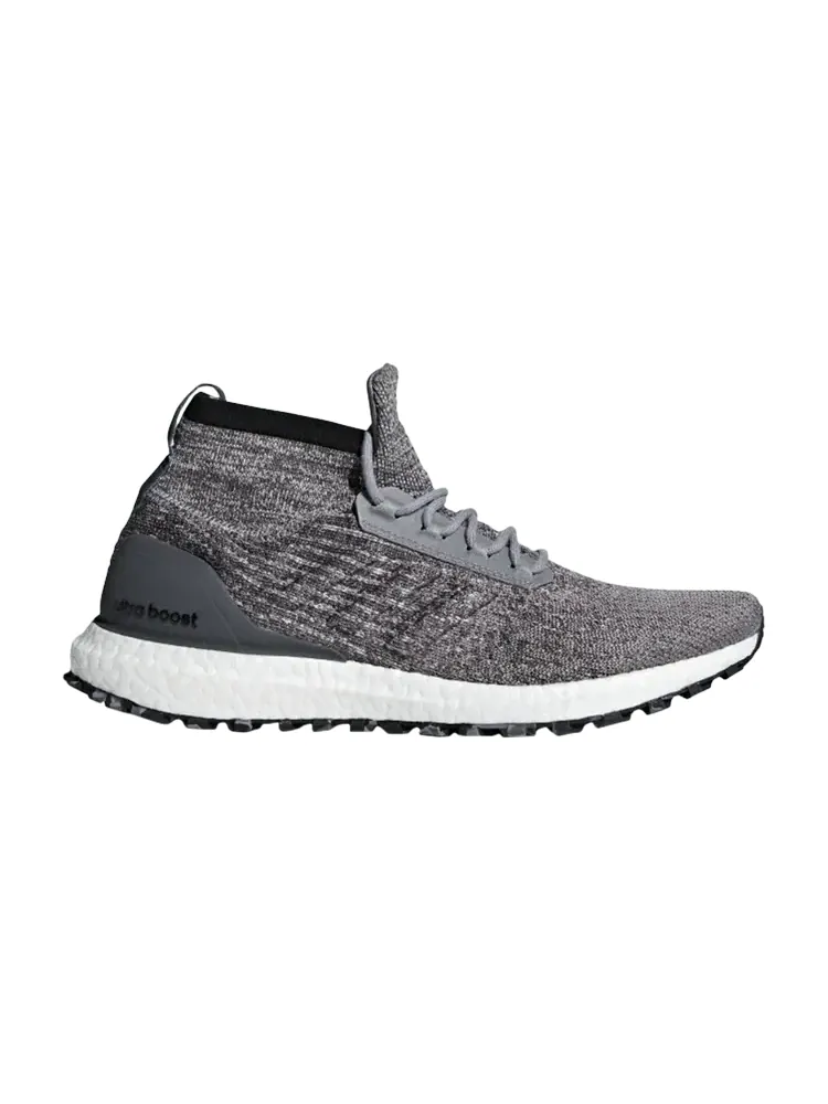 Кроссовки Adidas UltraBoost All Terrain 'Triple Grey' — изображение 1 из 1, серый