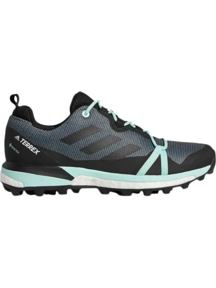 Кроссовки Adidas Wmns Terrex Skychaser LT GTX 'Ash Grey Mint' — изображение 1 из 1, серый