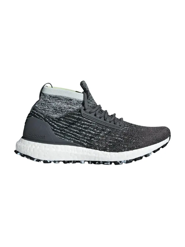 Кроссовки Adidas Wmns UltraBoost All Terrain 'Grey Carbon' — изображение 1 из 1, серый