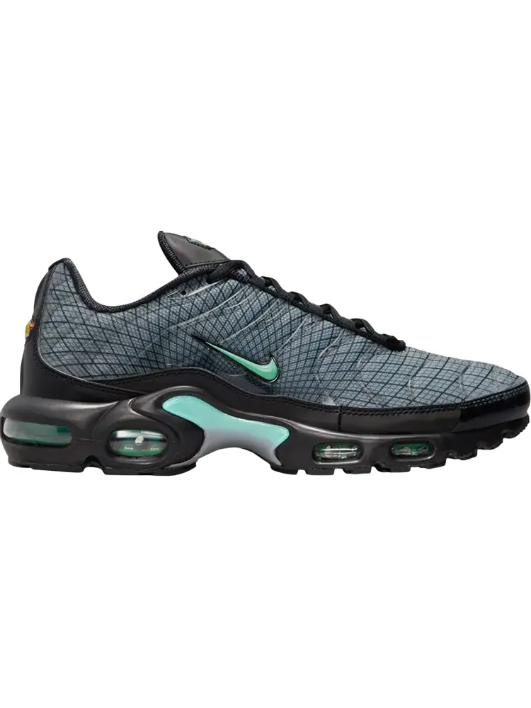 Кроссовки Nike Air Max Plus 'Spirograph' — изображение 1 из 1, серый