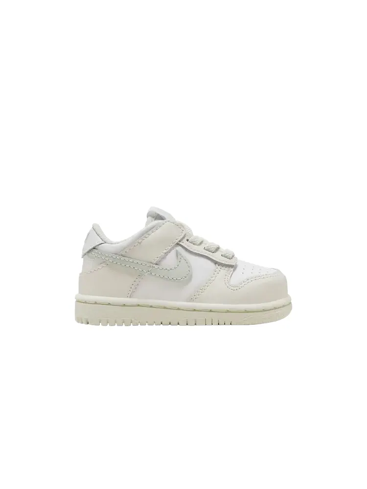 Кроссовки Dunk Low TD — изображение 1 из 1, светлый серебристый