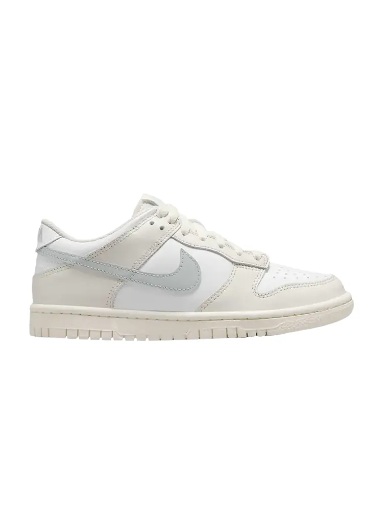 Кроссовки Dunk Low GS — изображение 1 из 1, светлый серебристый