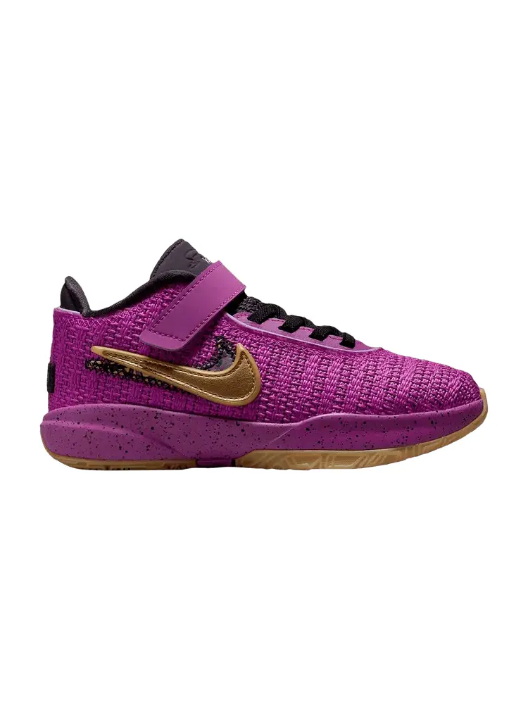 Кроссовки Nike LeBron 20 PS, Young Heirs