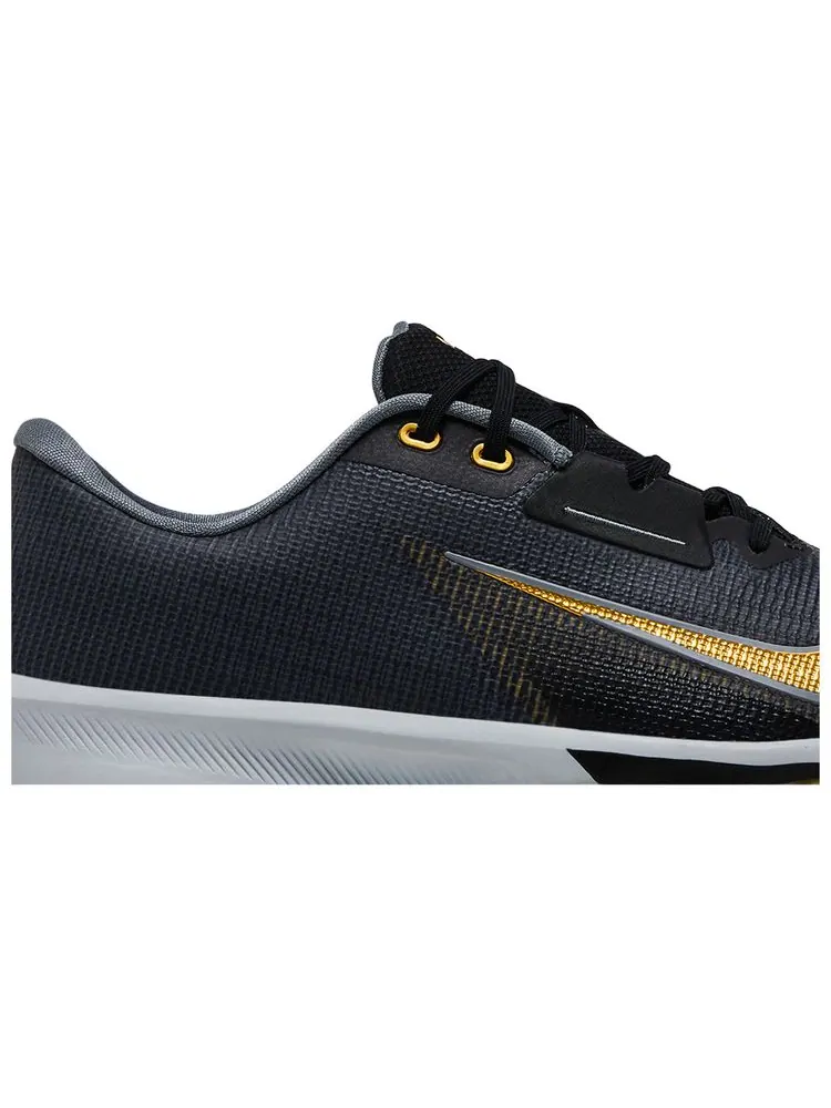 Кроссовки Nike Air Zoom Infinity Tour 2 Golf 'Black Infinite Gold' — изображение 2 из 8, черный