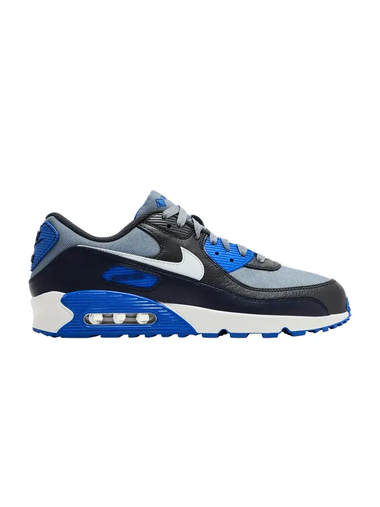 Кроссовки Nike Air Max 90 GORE-TEX 'Racer Blue' — изображение 1 из 9, серый///платиновый/синий