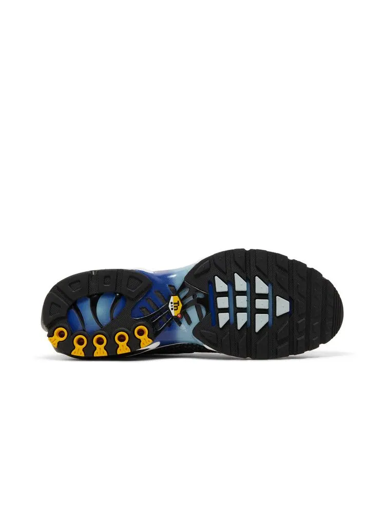 Кроссовки Nike Air Max Plus 'Kiss My Airs' — изображение 5 из 9, черный/серый/серый/синий