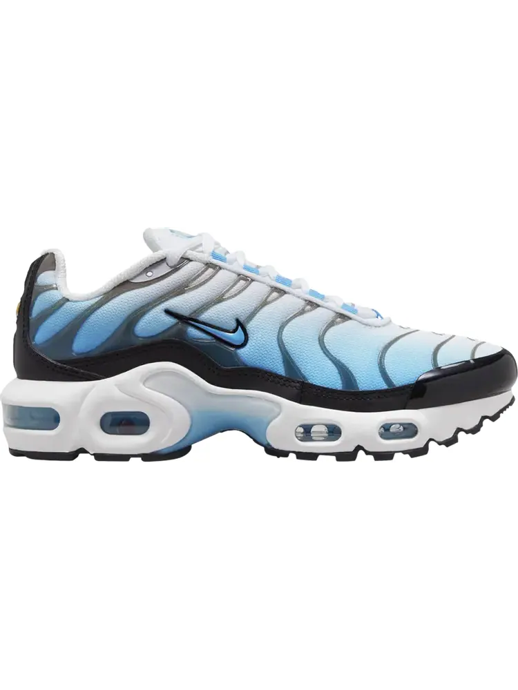 Кроссовки Air Max Plus GS 'Ice' — изображение 1 из 1, синий