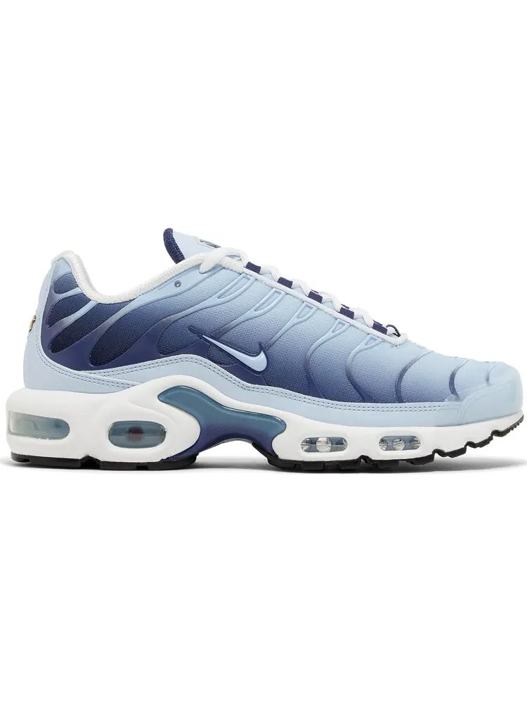 Кроссовки Wmns Air Max Plus 'Celestine Blue' — изображение 1 из 4, синий