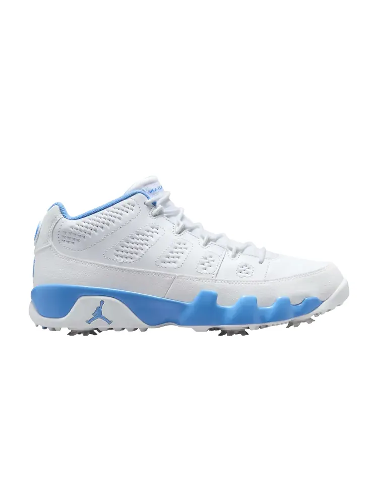 Кроссовки Air Jordan 9 Low Golf — изображение 1 из 1, синий