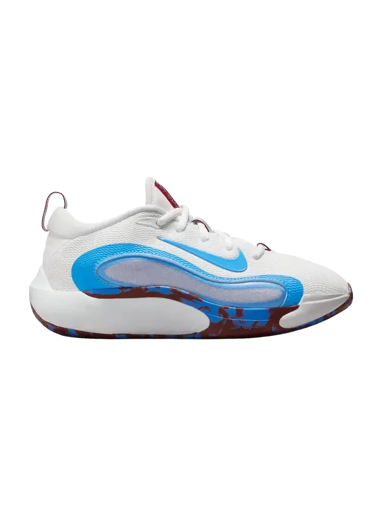 Кроссовки баскетбольные Nike Isofly GS — изображение 1 из 1, белый синий