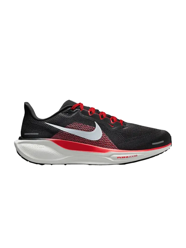 Кроссовки Nike Air Zoom Pegasus 41 Extra Wide 'Dark Smoke Grey Light Crimson' — изображение 1 из 1