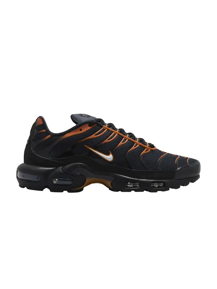 Кроссовки Nike Air Max Plus — изображение 1 из 1, синий