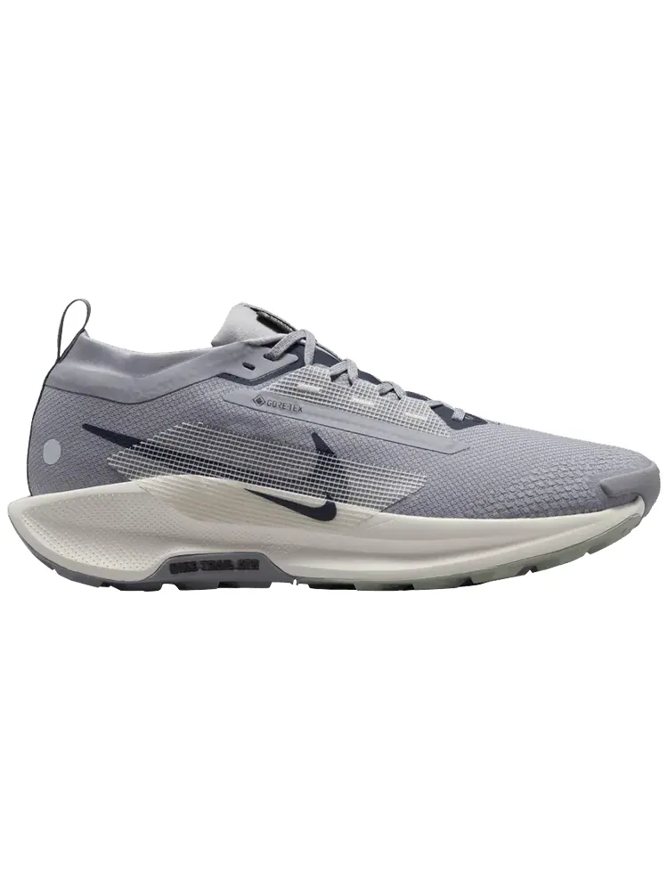 Кроссовки Nike Pegasus Trail 5 GORE-TEX 'Cement Grey Midnight Navy' — изображение 1 из 1, серый