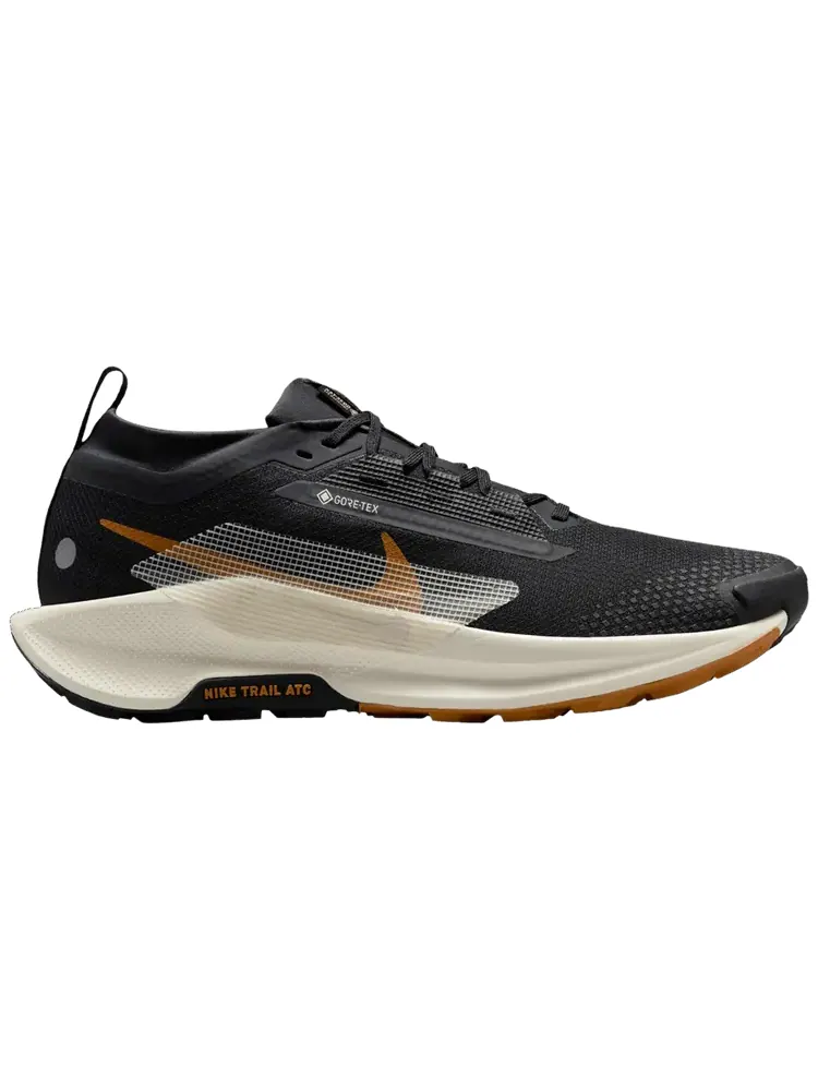Кроссовки Nike Pegasus Trail 5 GORE-TEX 'Black Monarch' — изображение 1 из 1, черный