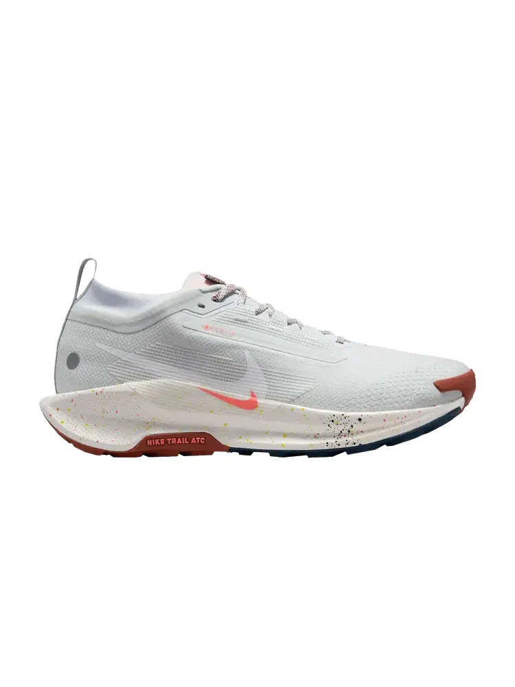 Кроссовки Nike Pegasus Trail 5 GORE-TEX — изображение 1 из 1, платиновый розовый